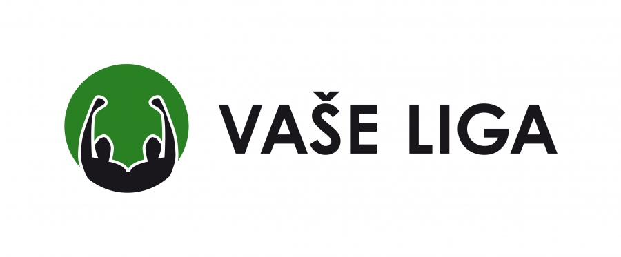 Vaše liga