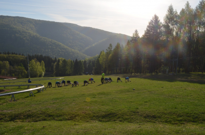 Proč BOOTCAMPS? Protože venku!!!